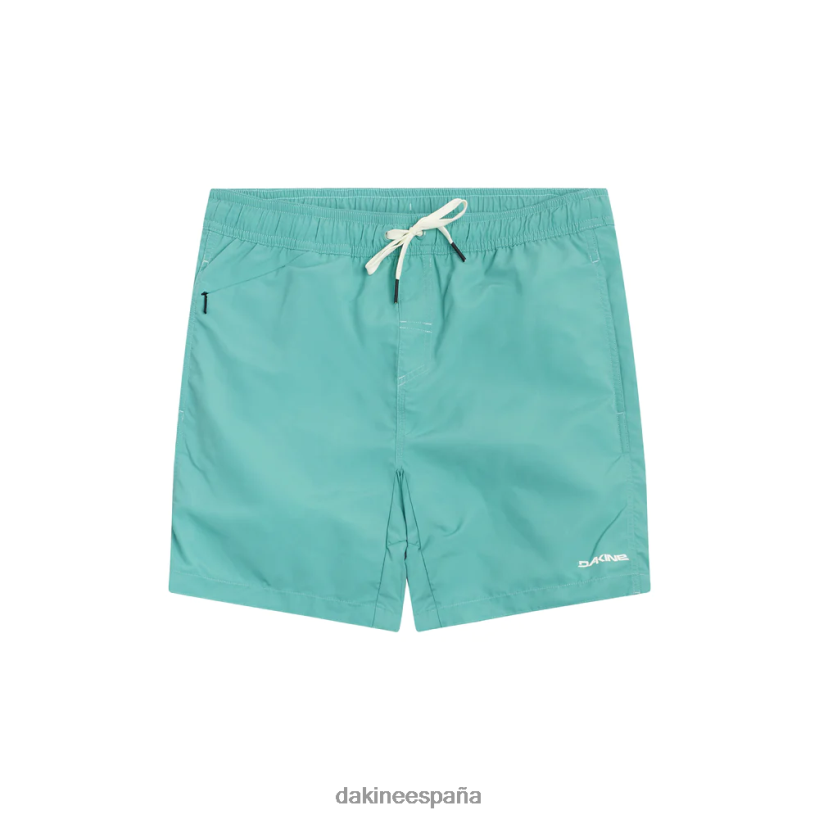 banador_de_crucero_horizonte_azul_dakine_hombres_ropa_2vtf0x263.png bañador de crucero horizonte azul Dakine hombres ropa 2VTF0X263 - Image 1