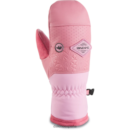 Guante gore-tex del equipo barón - jamie anderson jamie anderson Dakine mujer accesorio 2VTF0X846